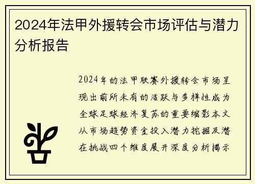 2024年法甲外援转会市场评估与潜力分析报告